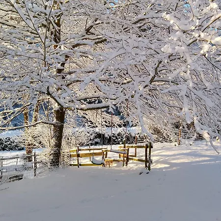 Les Glycines - La Roche - Shared Solar Heated Pool - Garden - Fenced Garden For Dogs * Vernoux-en-Gâtine