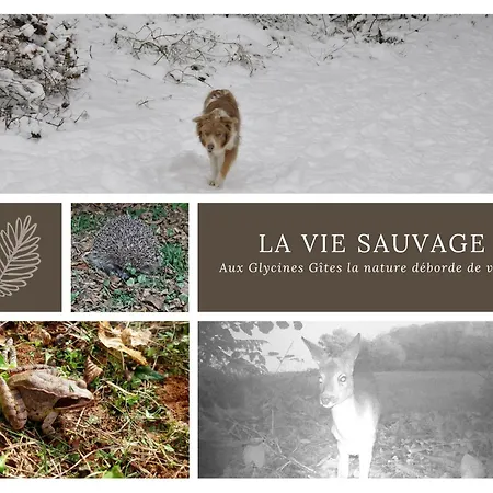Les Glycines - La Roche - Shared Solar Heated Pool - Garden - Fenced Garden For Dogs Vernoux-en-Gâtine